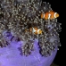 anemonefish_clown_false_cc_mb_v_0114_png5719.jpg